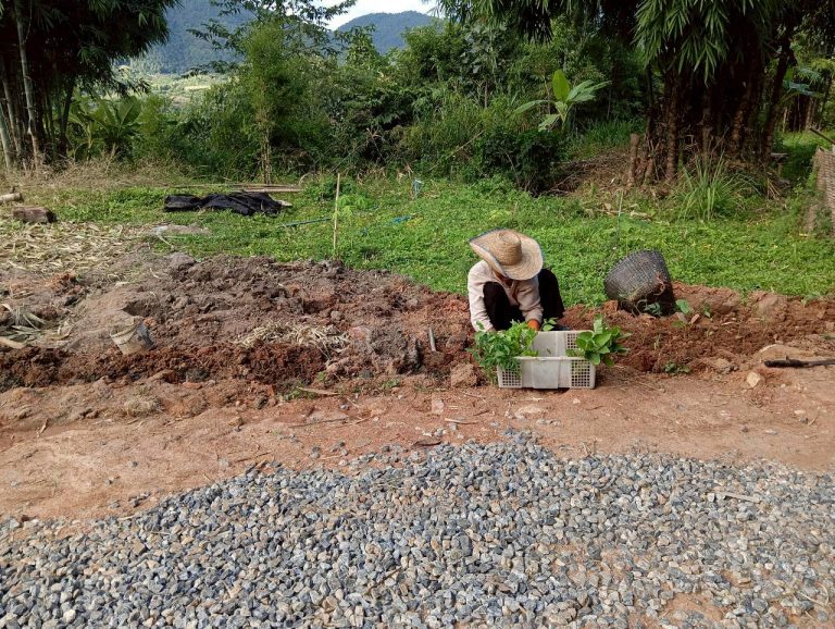 LINE_ALBUM_บ้านชนเผ่า_251024_14