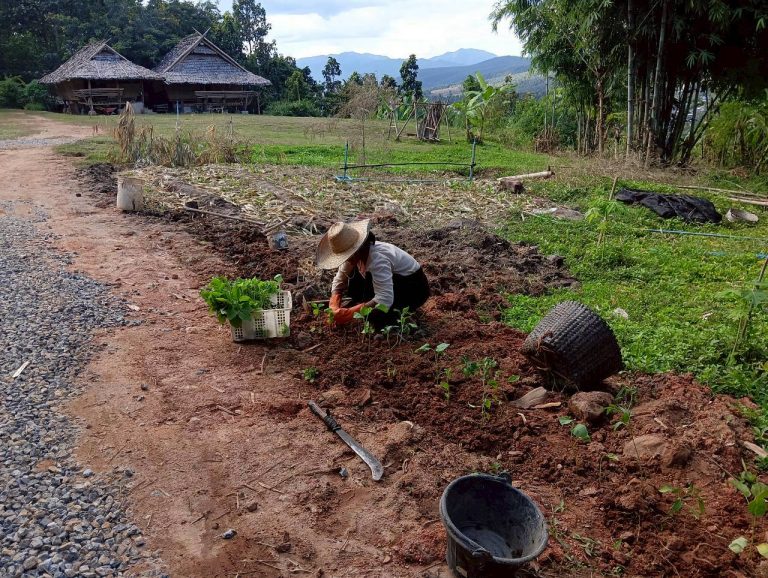 LINE_ALBUM_บ้านชนเผ่า_251024_15