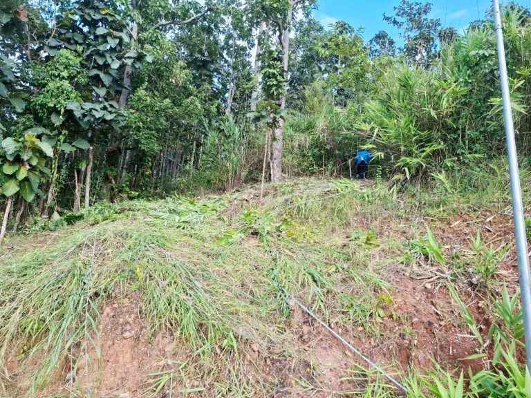 LINE_ALBUM_พื้นที่ส่วนกลาง อ.จีรเดช_251024_4