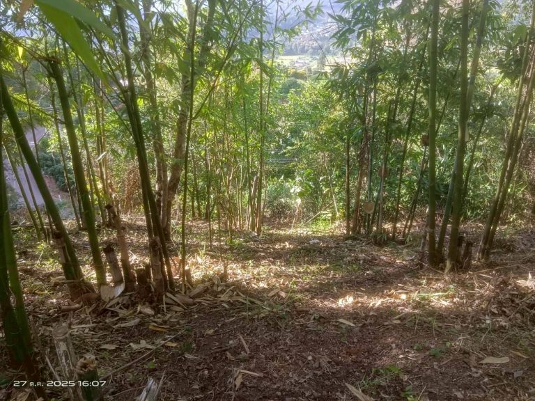 LINE_ALBUM_แคมป์วิว_251027_1