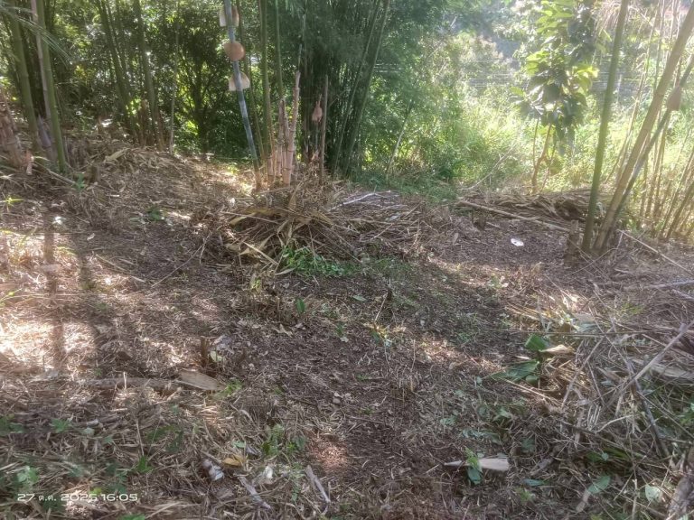 LINE_ALBUM_แคมป์วิว_251027_2