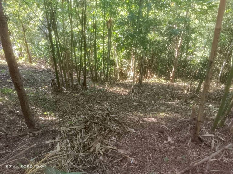 LINE_ALBUM_แคมป์วิว_251027_3