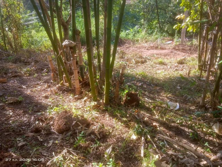 LINE_ALBUM_แคมป์วิว_251027_4