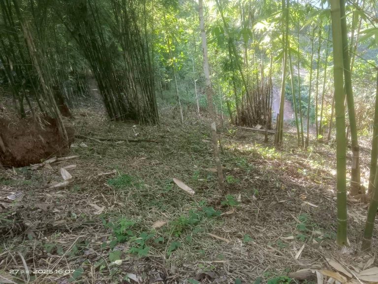 LINE_ALBUM_แคมป์วิว_251027_5