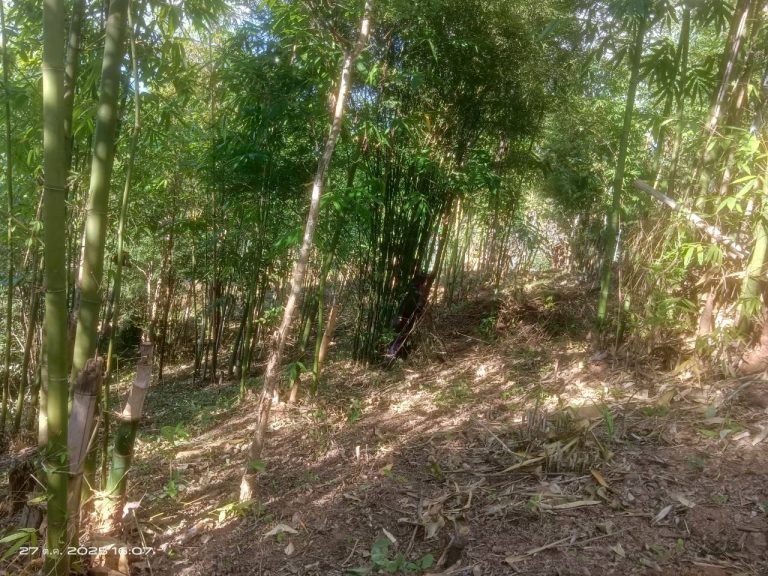 LINE_ALBUM_แคมป์วิว_251027_6