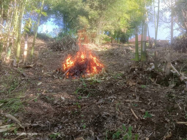 LINE_ALBUM_แคมป์วิว_251027_7