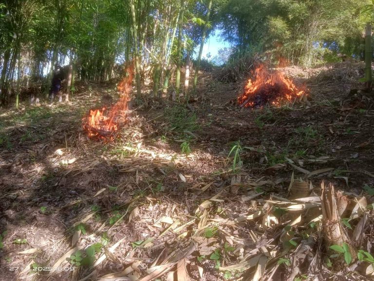 LINE_ALBUM_แคมป์วิว_251027_8