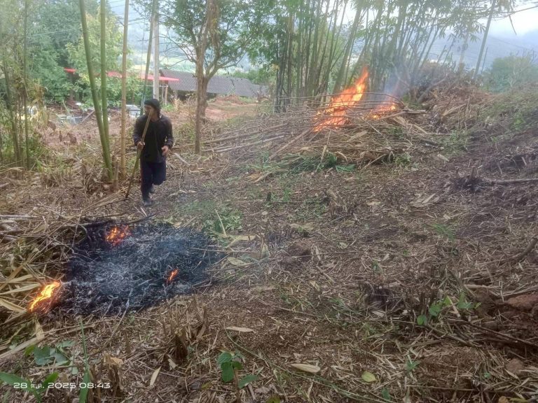 LINE_ALBUM_แคมป์วิว_251028_