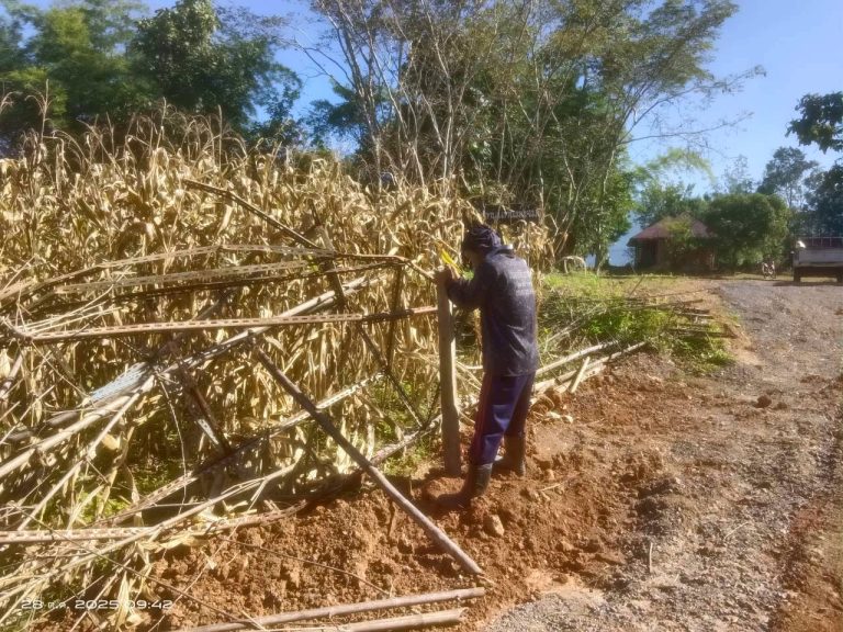 LINE_ALBUM_แคมป์วิว_251028_1