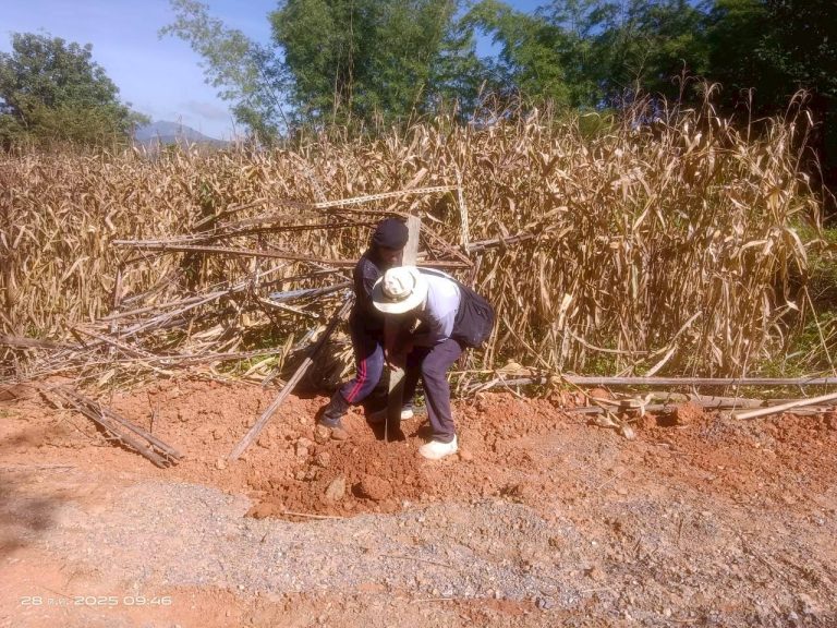 LINE_ALBUM_แคมป์วิว_251028_2