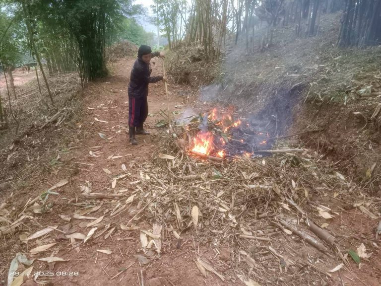 LINE_ALBUM_แคมป์วิว_251028_3