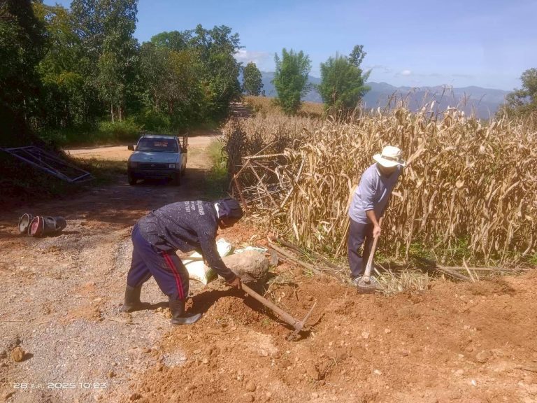 LINE_ALBUM_แคมป์วิว_251028_4