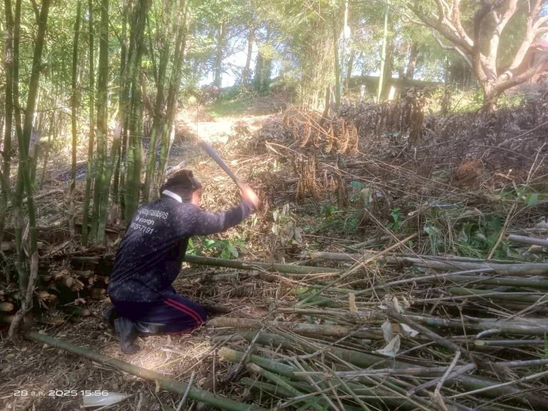 LINE_ALBUM_แคมป์วิว_251028_7