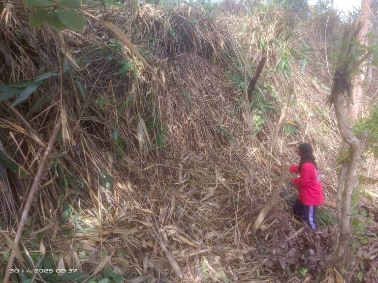 LINE_ALBUM_แคมป์วิว_251030_1