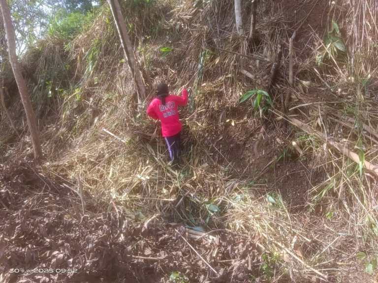 LINE_ALBUM_แคมป์วิว_251030_2