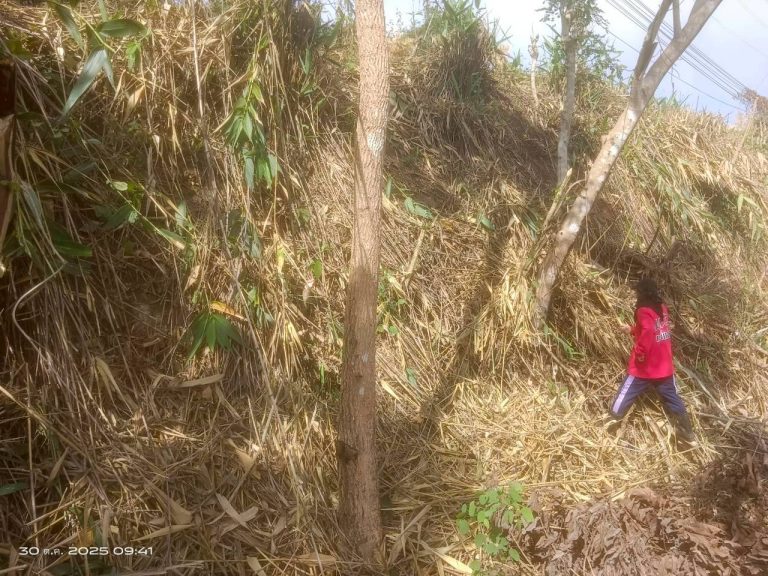 LINE_ALBUM_แคมป์วิว_251030_3