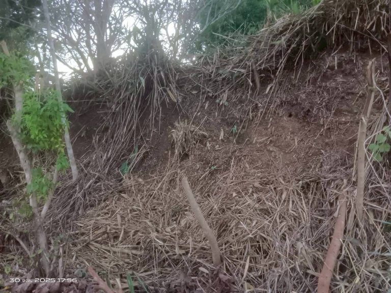 LINE_ALBUM_แคมป์วิว_251030_4