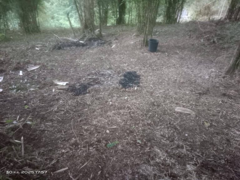 LINE_ALBUM_แคมป์วิว_251030_5