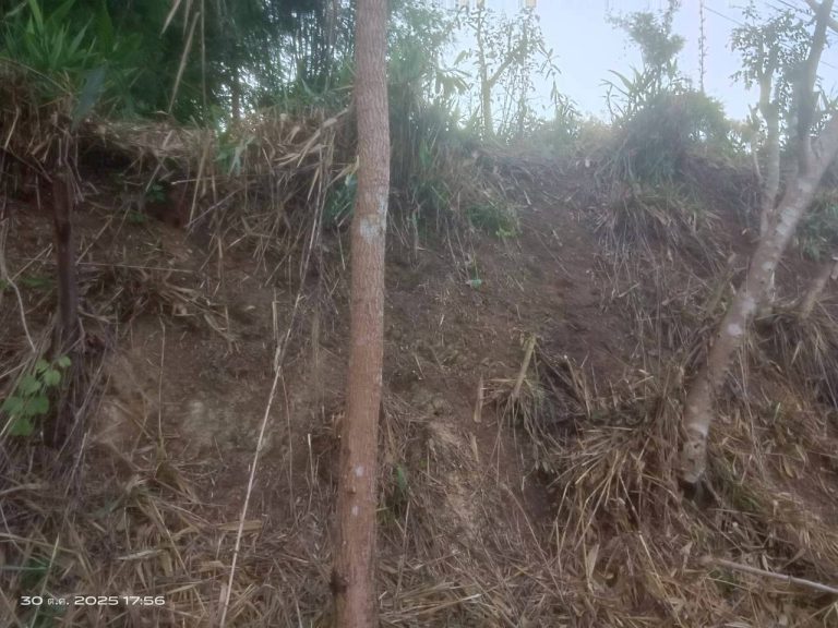 LINE_ALBUM_แคมป์วิว_251030_6