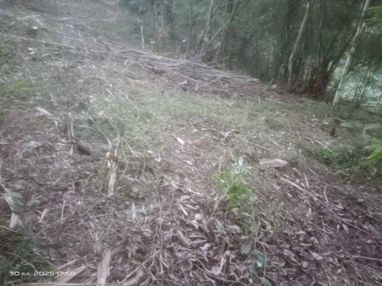 LINE_ALBUM_แคมป์วิว_251030_7