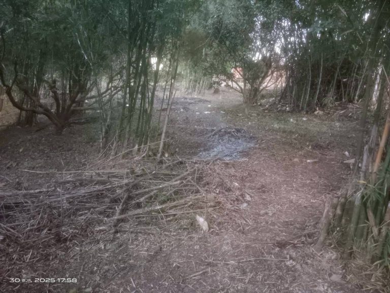 LINE_ALBUM_แคมป์วิว_251030_8