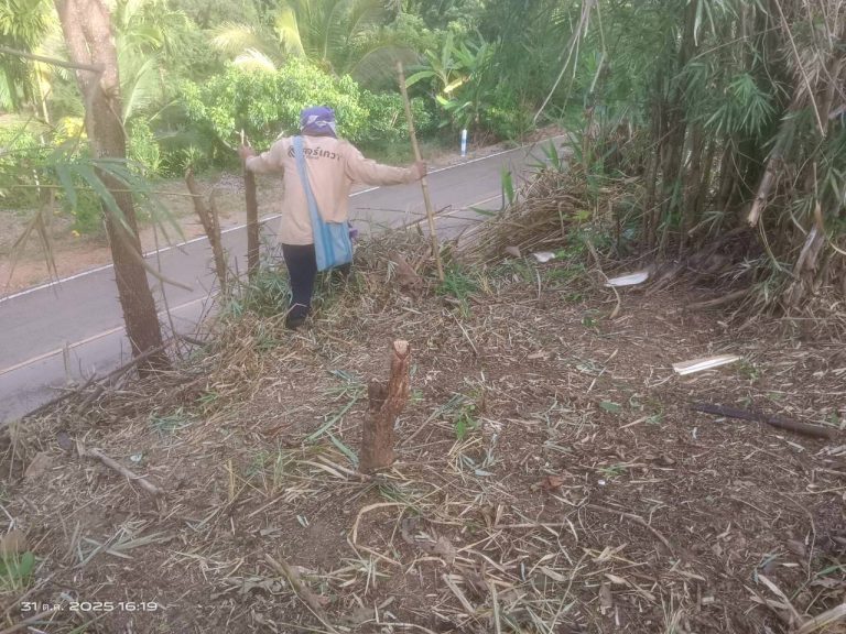 LINE_ALBUM_แคมป์วิว_251031_1