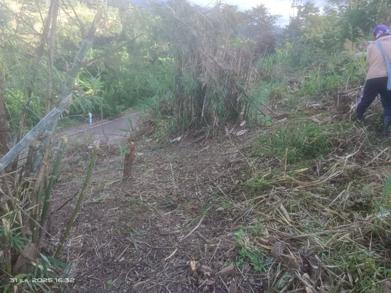 LINE_ALBUM_แคมป์วิว_251031_3