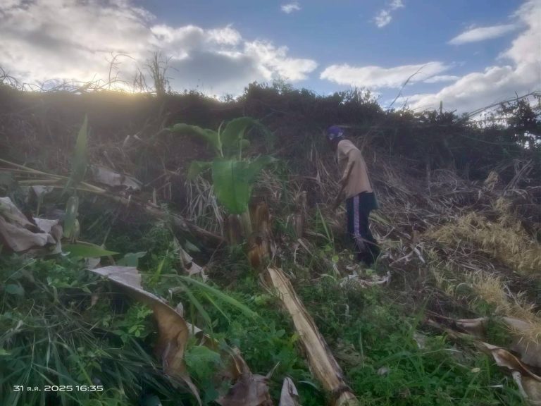 LINE_ALBUM_แคมป์วิว_251031_4