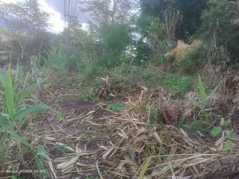 LINE_ALBUM_แคมป์วิว_251031_5