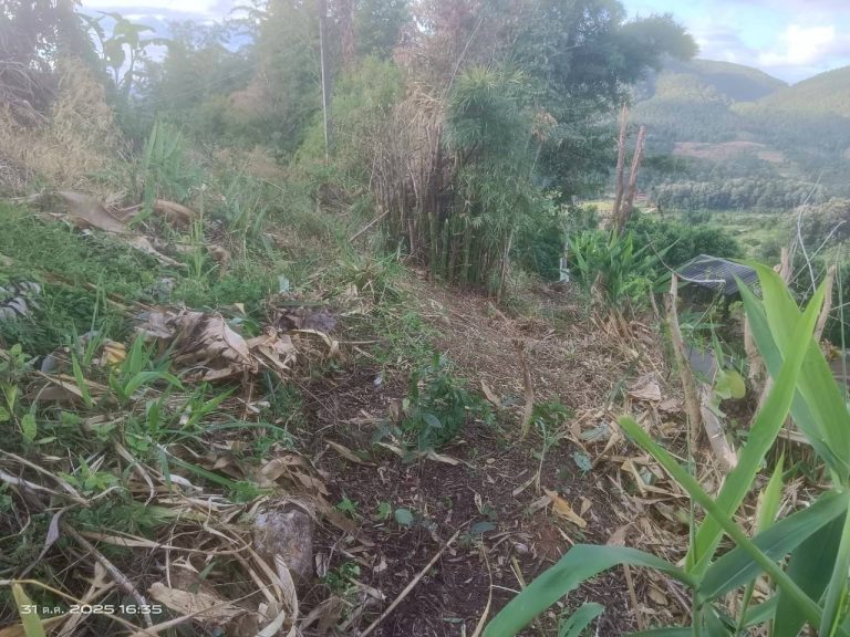 LINE_ALBUM_แคมป์วิว_251031_6