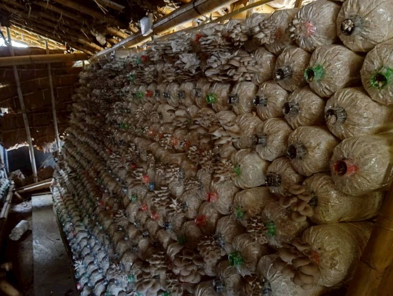 LINE_ALBUM_บ้านชนเผ่า_260221_2