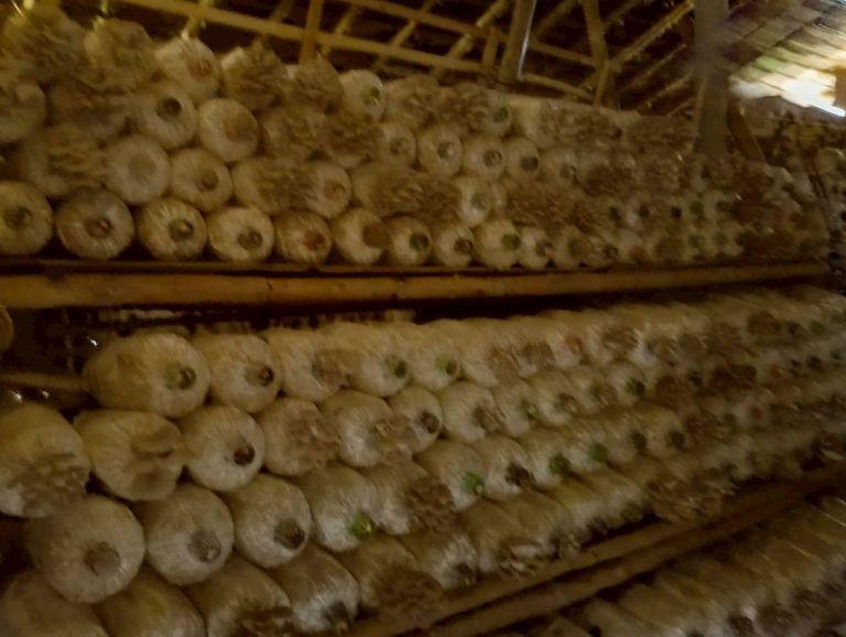 LINE_ALBUM_บ้านชนเผ่า_260221_3