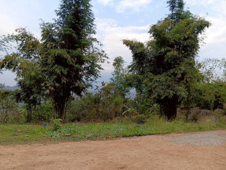 LINE_ALBUM_บ้านชนเผ่า_260221_4