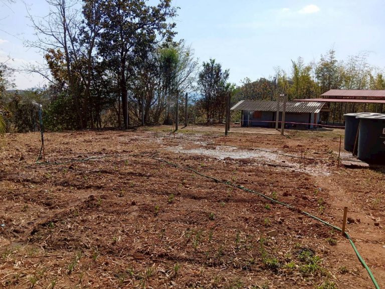 LINE_ALBUM_แคมป์วิว_260215_5