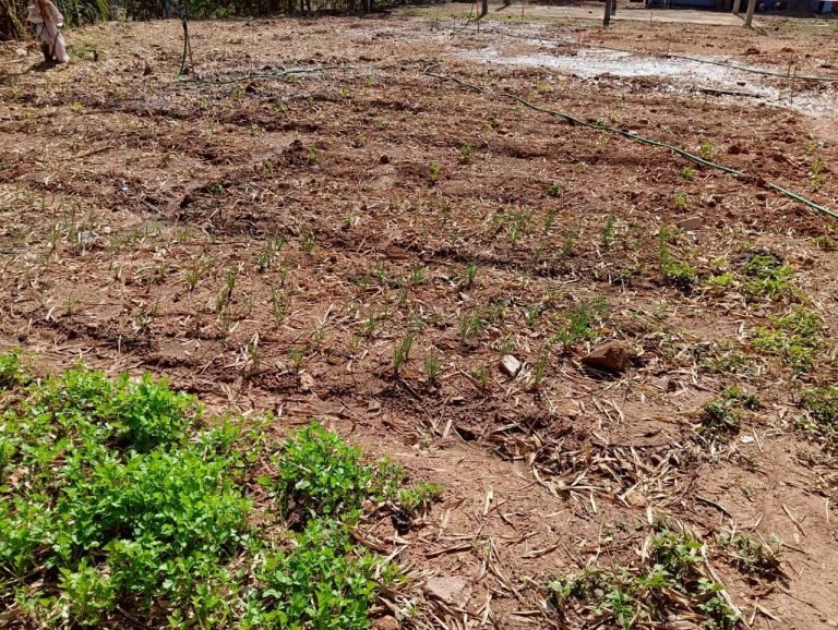 LINE_ALBUM_แคมป์วิว_260215_6