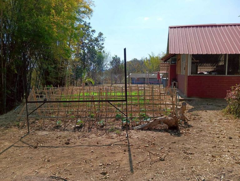 LINE_ALBUM_แคมป์วิว_260215_8