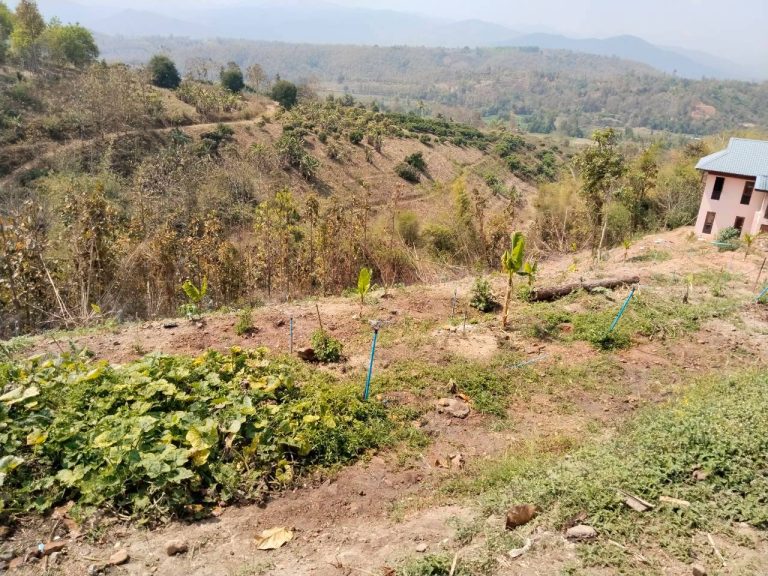 temp_c728b50b47f829632216b6db7c4e96552_5236100798793585413_1671905313676487_0