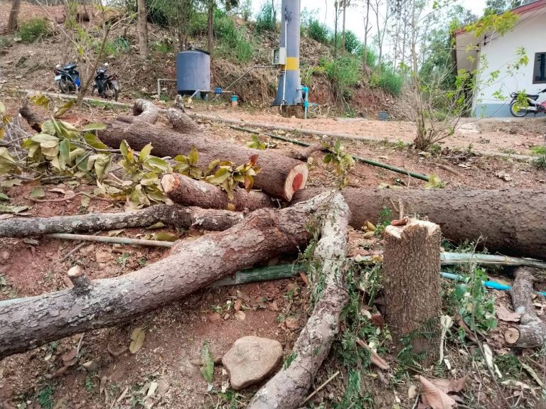 temp_c728b50b47f829632216b6db7c4e96552_5236100798793585413_1671905314723935_0