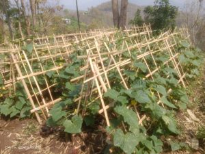 ตารางสอน