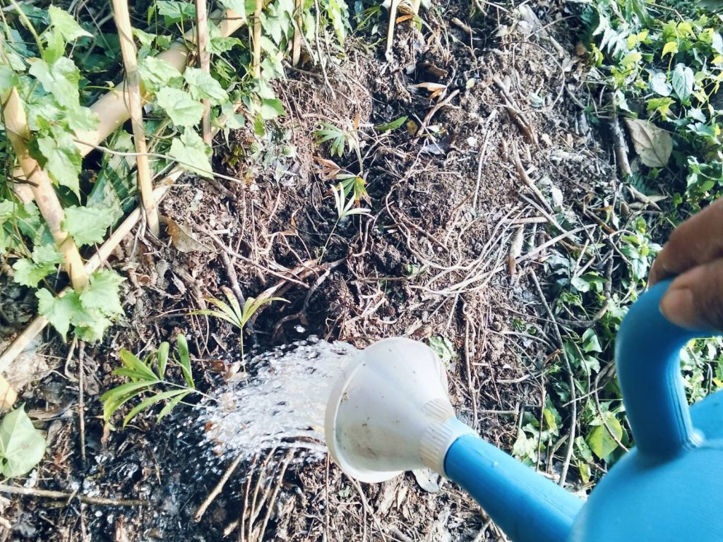 ข่าวอัพเดท 005