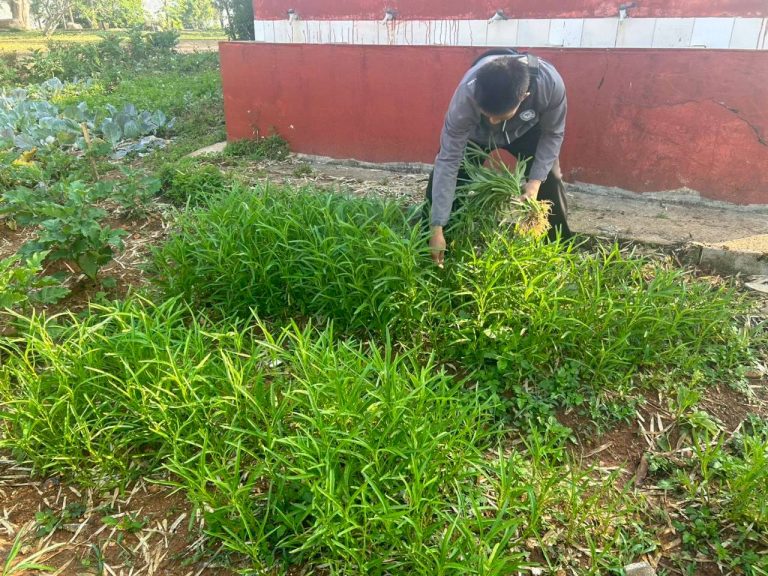 LINE_ALBUM_พื้นที่แคมป์วิวอัลบั้ม 2_260319_1