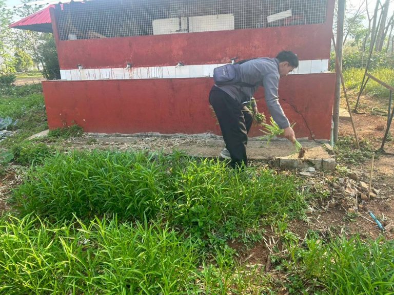 LINE_ALBUM_พื้นที่แคมป์วิวอัลบั้ม 2_260319_2