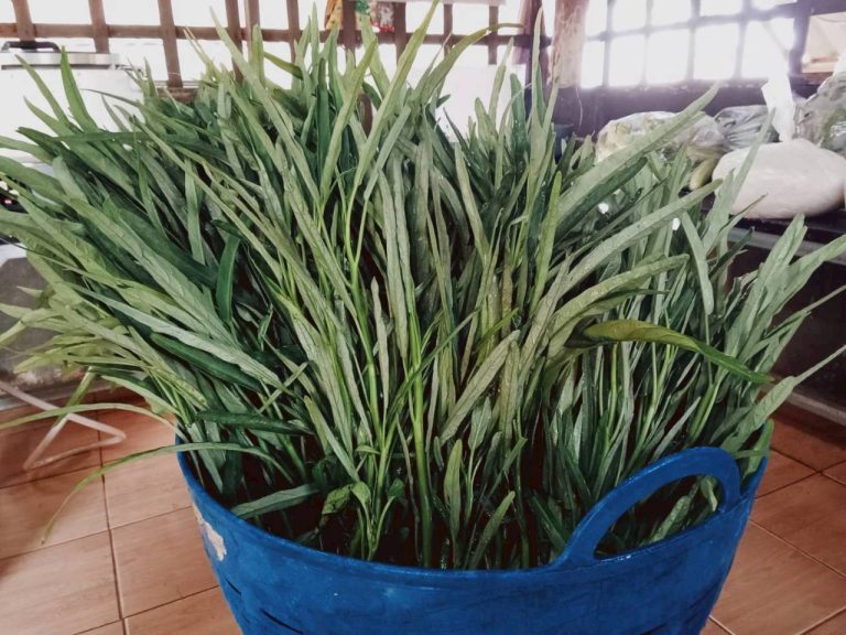 LINE_ALBUM_พื้นที่แคมป์วิวอัลบั้ม 2_260319_3