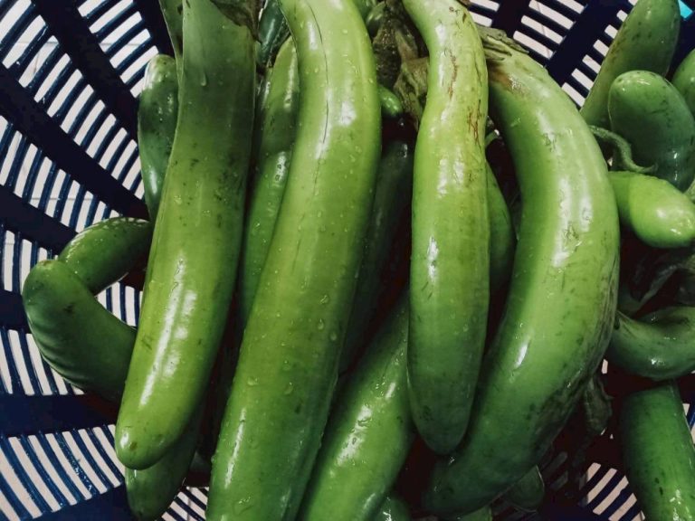 LINE_ALBUM_พื้นที่แคมป์วิวอัลบั้ม 2_260319_4