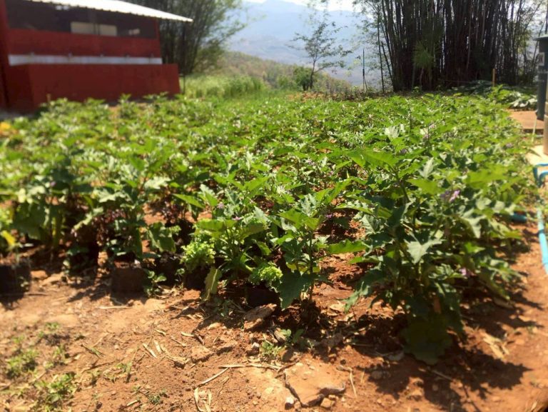 LINE_ALBUM_แคมป์วิว_260322_3