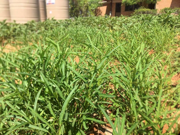 LINE_ALBUM_แคมป์วิว_260322_6