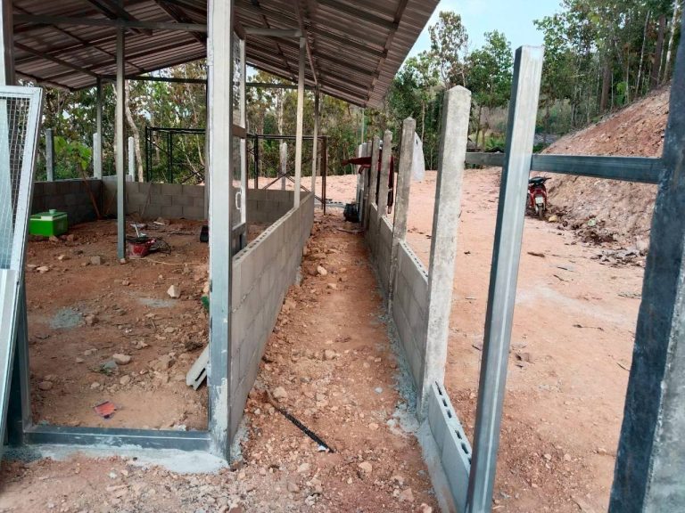 temp_c728b50b47f829632216b6db7c4e96552_5236100798793585413_31542388737029_0