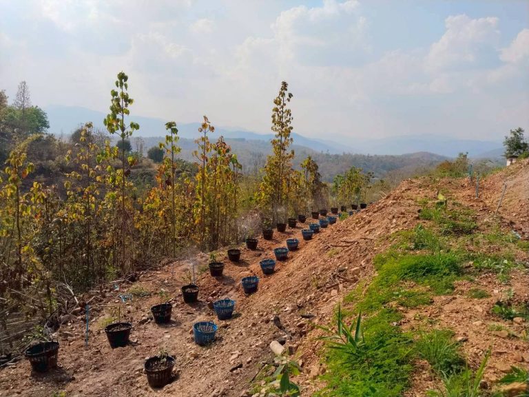 temp_c728b50b47f829632216b6db7c4e96552_5236100798793585413_31542392148539_0