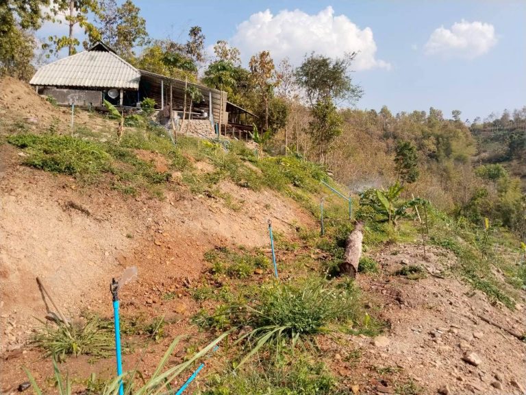 temp_c728b50b47f829632216b6db7c4e96552_5236100798793585413_31542392924424_0