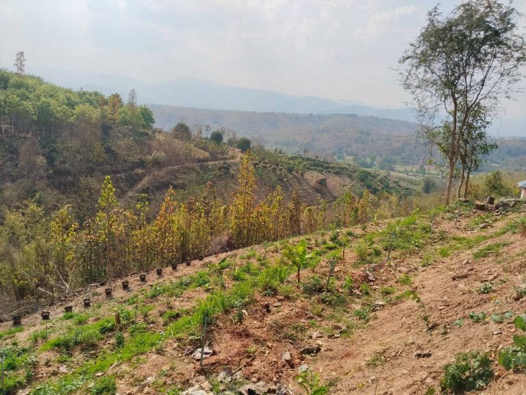 temp_c728b50b47f829632216b6db7c4e96552_5236100798793585413_31542393207758_0